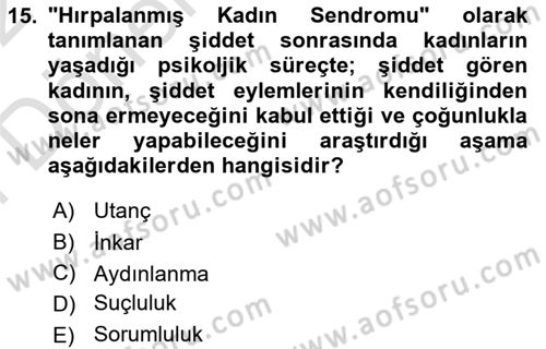 Toplumsal Cinsiyet Çalışmaları Dersi 2021 - 2022 Yılı (Final) Dönem Sonu Sınavı 15. Soru