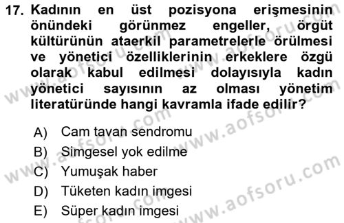 Toplumsal Cinsiyet Çalışmaları Dersi 2021 - 2022 Yılı (Final) Dönem Sonu Sınav Soruları 17. Soru