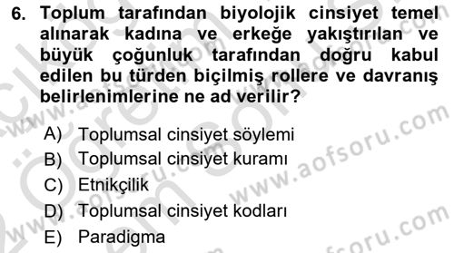 Toplumsal Cinsiyet Çalışmaları Dersi 2021 - 2022 Yılı (Final) Dönem Sonu Sınav Soruları 6. Soru