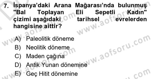 Toplumsal Cinsiyet Çalışmaları Dersi 2021 - 2022 Yılı (Final) Dönem Sonu Sınavı 7. Soru