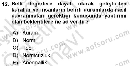 Toplumsal Cinsiyet Çalışmaları Dersi 2021 - 2022 Yılı Yaz Okulu Sınav Soruları 12. Soru