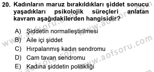 Toplumsal Cinsiyet Çalışmaları Dersi 2021 - 2022 Yılı Yaz Okulu Sınav Soruları 20. Soru