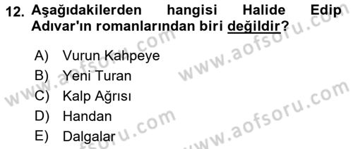 Toplumsal Cinsiyet Çalışmaları Dersi 2022 - 2023 Yılı Yaz Okulu Sınavı 12. Soru