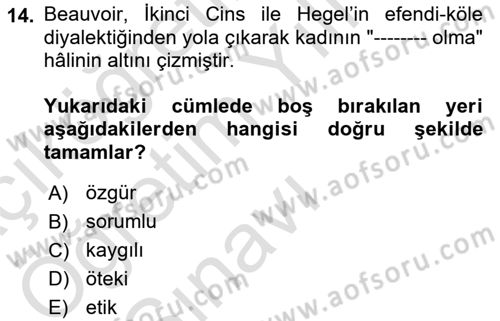 Toplumsal Cinsiyet Çalışmaları Dersi 2022 - 2023 Yılı Yaz Okulu Sınavı 14. Soru