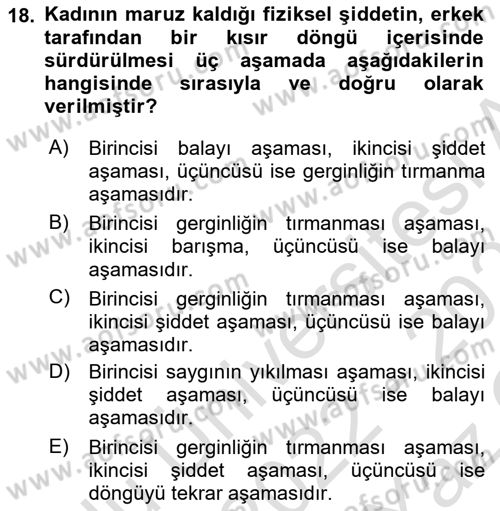 Toplumsal Cinsiyet Çalışmaları Dersi 2022 - 2023 Yılı Yaz Okulu Sınav Soruları 18. Soru