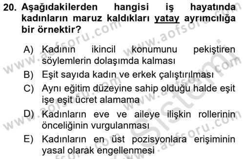 Toplumsal Cinsiyet Çalışmaları Dersi 2022 - 2023 Yılı Yaz Okulu Sınav Soruları 20. Soru
