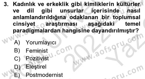 Toplumsal Cinsiyet Çalışmaları Dersi 2022 - 2023 Yılı Yaz Okulu Sınav Soruları 3. Soru
