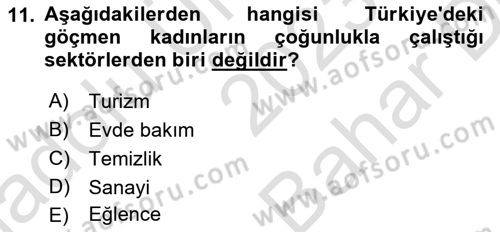 Toplumsal Cinsiyet Çalışmaları Dersi 2023 - 2024 Yılı (Vize) Ara Sınav Soruları 11. Soru