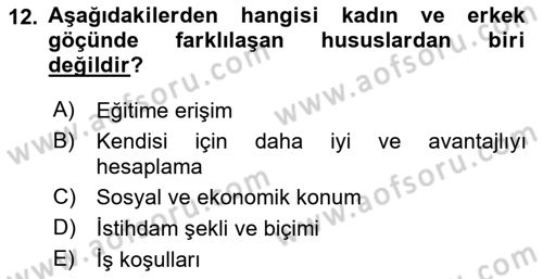 Toplumsal Cinsiyet Çalışmaları Dersi 2023 - 2024 Yılı (Vize) Ara Sınav Soruları 12. Soru