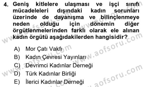Toplumsal Cinsiyet Çalışmaları Dersi 2023 - 2024 Yılı (Vize) Ara Sınav Soruları 4. Soru