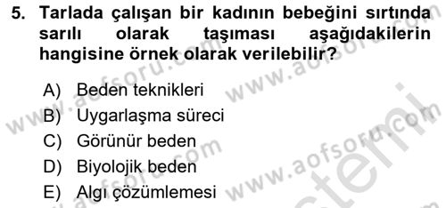 Toplumsal Cinsiyet Çalışmaları Dersi 2023 - 2024 Yılı (Vize) Ara Sınav Soruları 5. Soru
