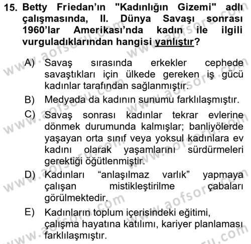 Toplumsal Cinsiyet Çalışmaları Dersi 2023 - 2024 Yılı (Final) Dönem Sonu Sınav Soruları 15. Soru