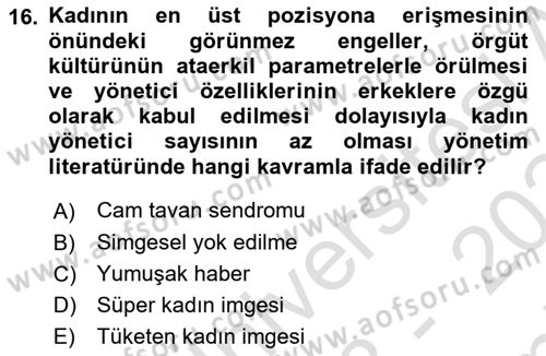 Toplumsal Cinsiyet Çalışmaları Dersi 2023 - 2024 Yılı (Final) Dönem Sonu Sınav Soruları 16. Soru