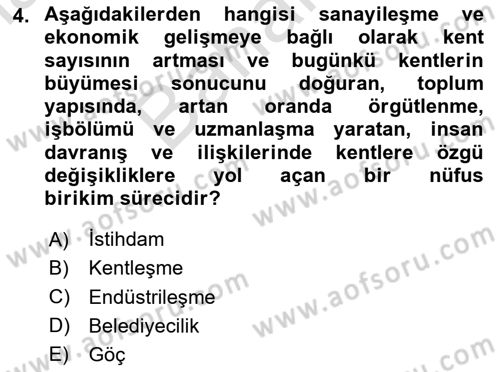 Toplumsal Cinsiyet Çalışmaları Dersi 2023 - 2024 Yılı (Final) Dönem Sonu Sınav Soruları 4. Soru