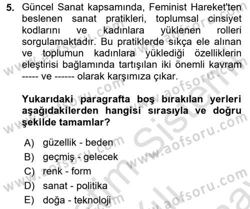 Toplumsal Cinsiyet Çalışmaları Dersi 2023 - 2024 Yılı (Final) Dönem Sonu Sınav Soruları 5. Soru