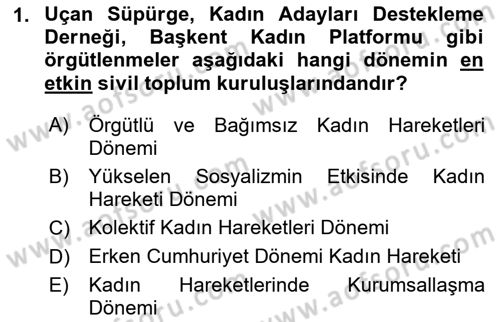Toplumsal Cinsiyet Çalışmaları Dersi 2023 - 2024 Yılı Yaz Okulu Sınav Soruları 1. Soru