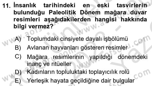 Toplumsal Cinsiyet Çalışmaları Dersi 2023 - 2024 Yılı Yaz Okulu Sınav Soruları 11. Soru
