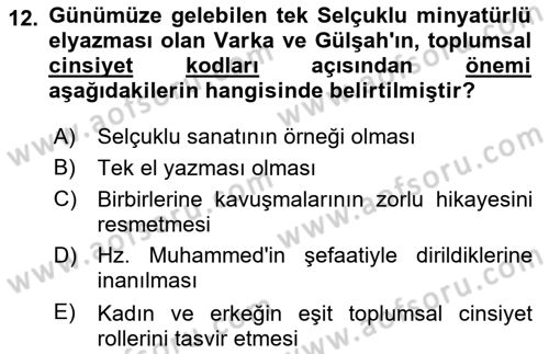 Toplumsal Cinsiyet Çalışmaları Dersi 2023 - 2024 Yılı Yaz Okulu Sınav Soruları 12. Soru