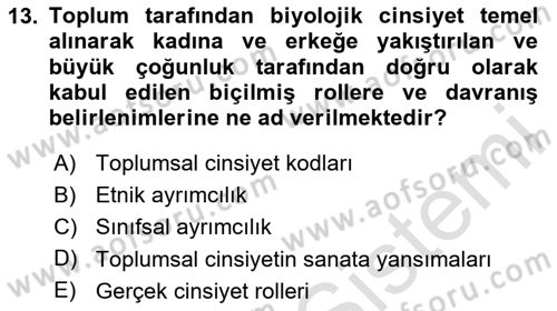 Toplumsal Cinsiyet Çalışmaları Dersi 2023 - 2024 Yılı Yaz Okulu Sınav Soruları 13. Soru