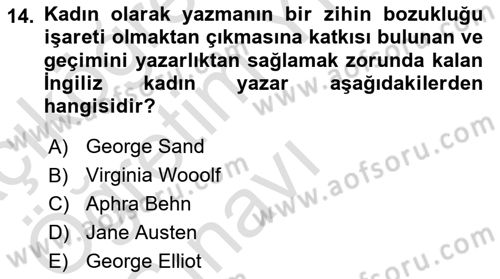 Toplumsal Cinsiyet Çalışmaları Dersi 2023 - 2024 Yılı Yaz Okulu Sınav Soruları 14. Soru