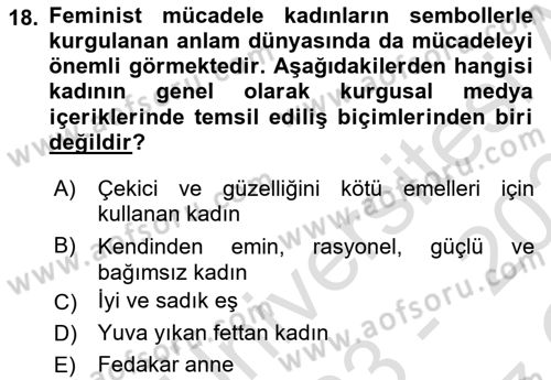 Toplumsal Cinsiyet Çalışmaları Dersi 2023 - 2024 Yılı Yaz Okulu Sınav Soruları 18. Soru