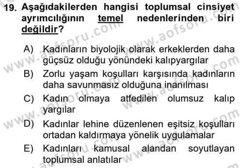 Toplumsal Cinsiyet Çalışmaları Dersi 2023 - 2024 Yılı Yaz Okulu Sınav Soruları 19. Soru