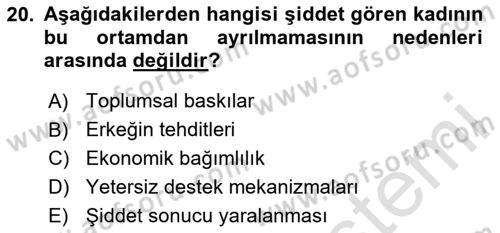 Toplumsal Cinsiyet Çalışmaları Dersi 2023 - 2024 Yılı Yaz Okulu Sınav Soruları 20. Soru