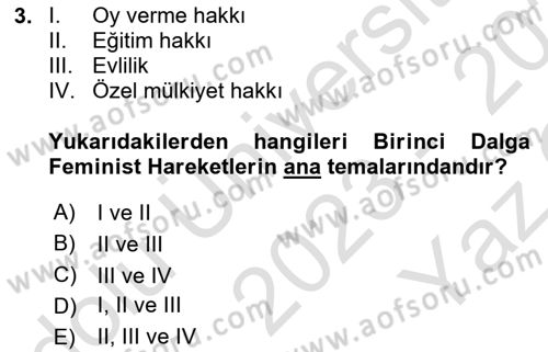 Toplumsal Cinsiyet Çalışmaları Dersi 2023 - 2024 Yılı Yaz Okulu Sınav Soruları 3. Soru