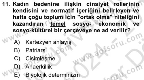 Toplumsal Cinsiyet Çalışmaları Dersi 2024 - 2025 Yılı (Vize) Ara Sınav Soruları 11. Soru