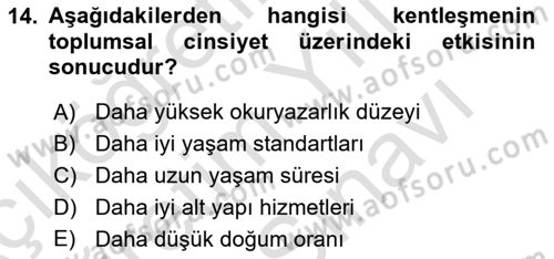 Toplumsal Cinsiyet Çalışmaları Dersi 2024 - 2025 Yılı (Vize) Ara Sınav Soruları 14. Soru