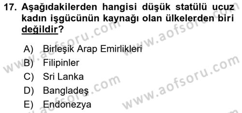 Toplumsal Cinsiyet Çalışmaları Dersi 2024 - 2025 Yılı (Vize) Ara Sınav Soruları 17. Soru