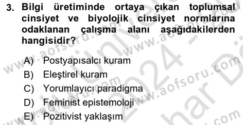 Toplumsal Cinsiyet Çalışmaları Dersi 2024 - 2025 Yılı (Vize) Ara Sınav Soruları 3. Soru