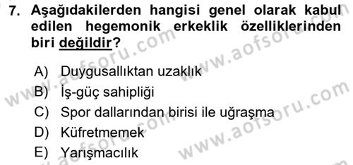Toplumsal Cinsiyet Çalışmaları Dersi 2024 - 2025 Yılı (Vize) Ara Sınav Soruları 7. Soru