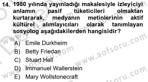 Toplumsal Cinsiyet Çalışmaları Dersi 2024 - 2025 Yılı (Final) Dönem Sonu Sınav Soruları 14. Soru