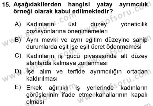 Toplumsal Cinsiyet Çalışmaları Dersi 2024 - 2025 Yılı (Final) Dönem Sonu Sınav Soruları 15. Soru