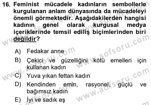 Toplumsal Cinsiyet Çalışmaları Dersi 2024 - 2025 Yılı (Final) Dönem Sonu Sınav Soruları 16. Soru