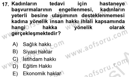 Toplumsal Cinsiyet Çalışmaları Dersi 2024 - 2025 Yılı (Final) Dönem Sonu Sınav Soruları 17. Soru