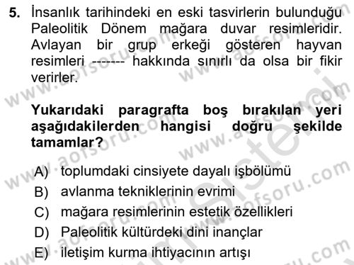 Toplumsal Cinsiyet Çalışmaları Dersi 2024 - 2025 Yılı (Final) Dönem Sonu Sınav Soruları 5. Soru