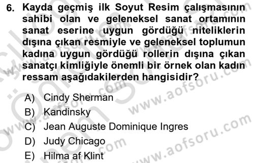 Toplumsal Cinsiyet Çalışmaları Dersi 2024 - 2025 Yılı (Final) Dönem Sonu Sınav Soruları 6. Soru