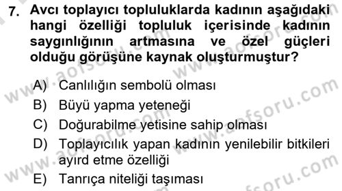 Toplumsal Cinsiyet Çalışmaları Dersi 2024 - 2025 Yılı (Final) Dönem Sonu Sınav Soruları 7. Soru