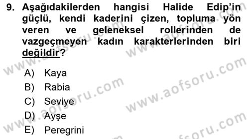 Toplumsal Cinsiyet Çalışmaları Dersi 2024 - 2025 Yılı (Final) Dönem Sonu Sınav Soruları 9. Soru