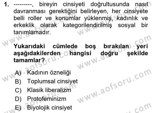 Toplumsal Cinsiyet Çalışmaları Dersi 2024 - 2025 Yılı Yaz Okulu Sınav Soruları 1. Soru