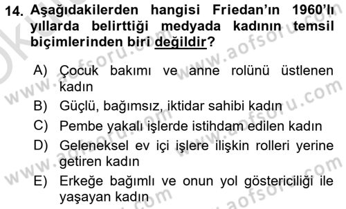 Toplumsal Cinsiyet Çalışmaları Dersi 2024 - 2025 Yılı Yaz Okulu Sınav Soruları 14. Soru