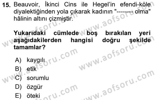 Toplumsal Cinsiyet Çalışmaları Dersi 2024 - 2025 Yılı Yaz Okulu Sınav Soruları 15. Soru