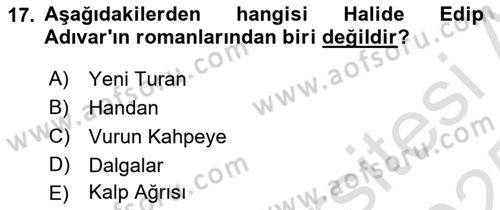Toplumsal Cinsiyet Çalışmaları Dersi 2024 - 2025 Yılı Yaz Okulu Sınav Soruları 17. Soru
