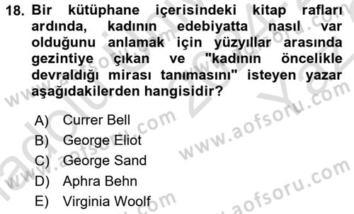 Toplumsal Cinsiyet Çalışmaları Dersi 2024 - 2025 Yılı Yaz Okulu Sınav Soruları 18. Soru
