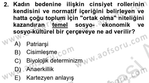 Toplumsal Cinsiyet Çalışmaları Dersi 2024 - 2025 Yılı Yaz Okulu Sınav Soruları 2. Soru