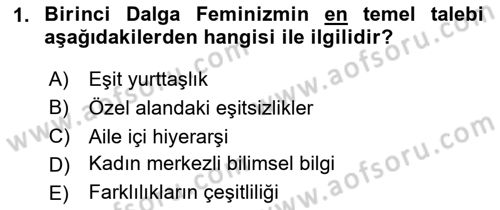 Toplumsal Cinsiyet Çalışmaları Dersi 2025 - 2026 Yılı (Vize) Ara Sınav Soruları 1. Soru