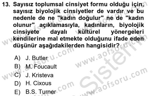 Toplumsal Cinsiyet Çalışmaları Dersi 2025 - 2026 Yılı (Vize) Ara Sınav Soruları 13. Soru