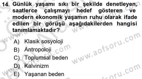 Toplumsal Cinsiyet Çalışmaları Dersi 2025 - 2026 Yılı (Vize) Ara Sınav Soruları 14. Soru